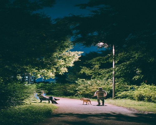 A relaxing evening walk in a park